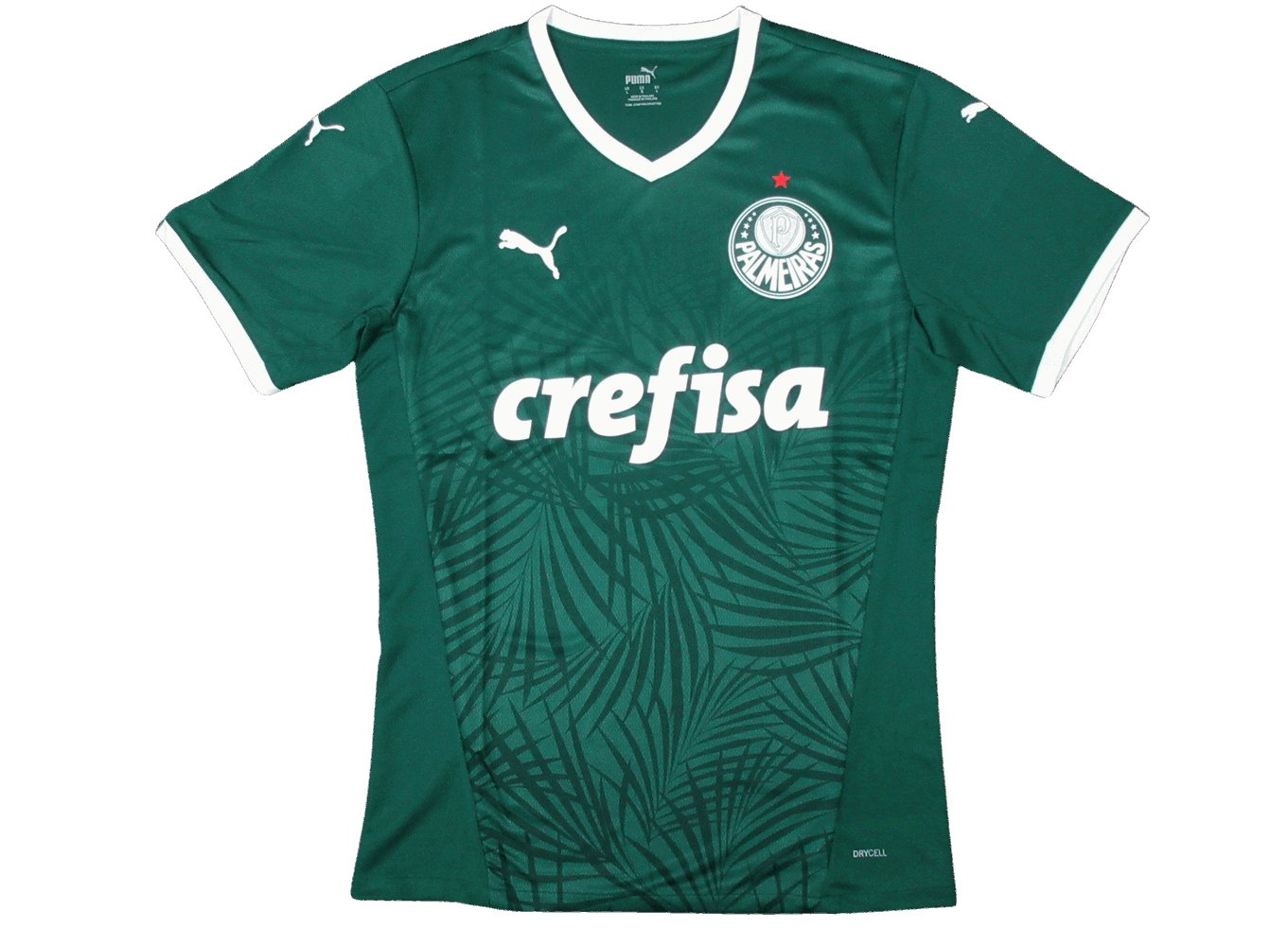 22/23 Palmeiras Home kit - Player version